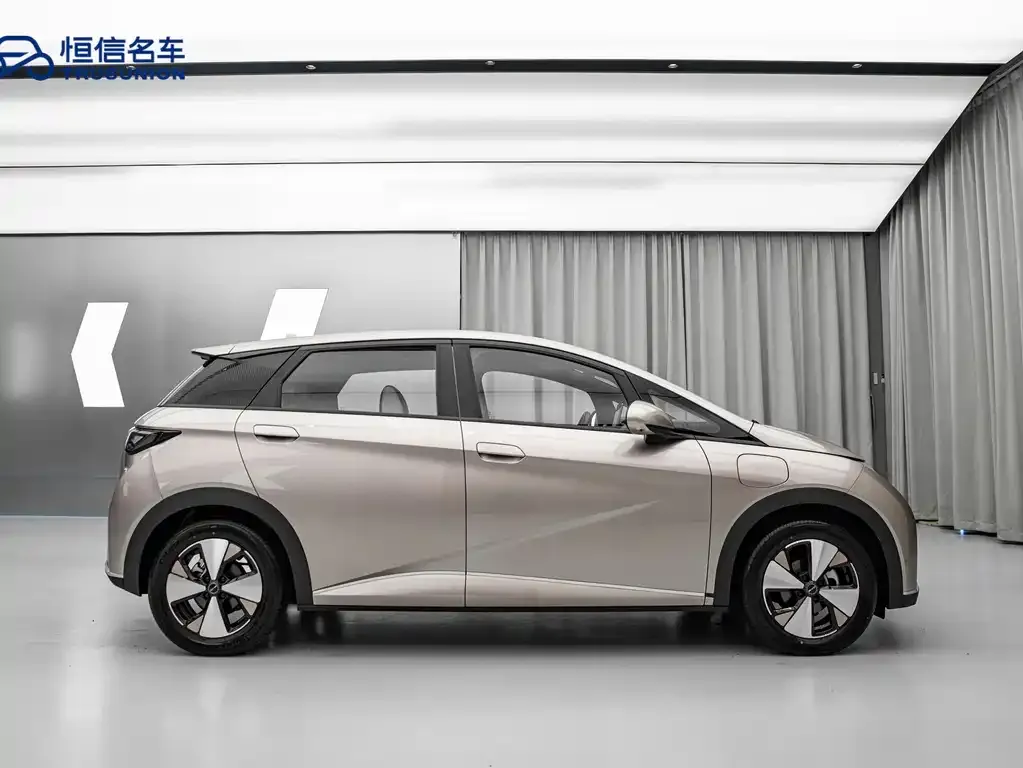 BYD Dolphin 2023 из CN, фото 5