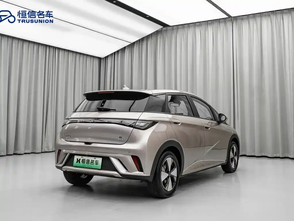 BYD Dolphin 2023 из CN, фото 8