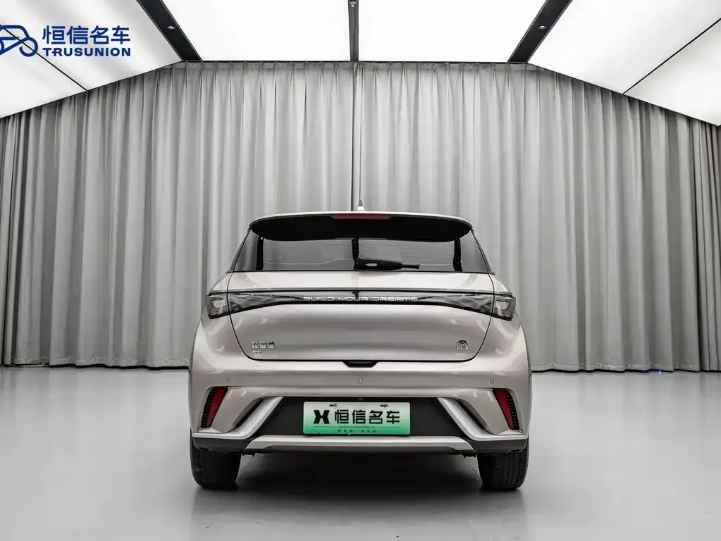 BYD Dolphin 2023 из CN, фото 3