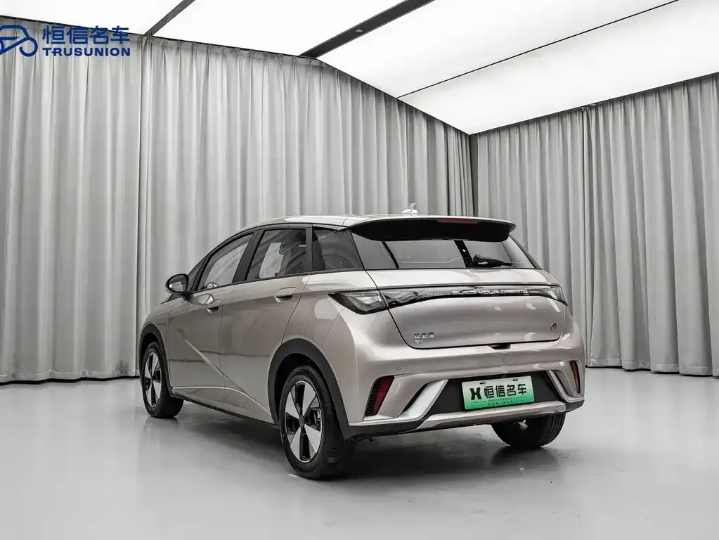 BYD Dolphin 2023 из CN, фото 6