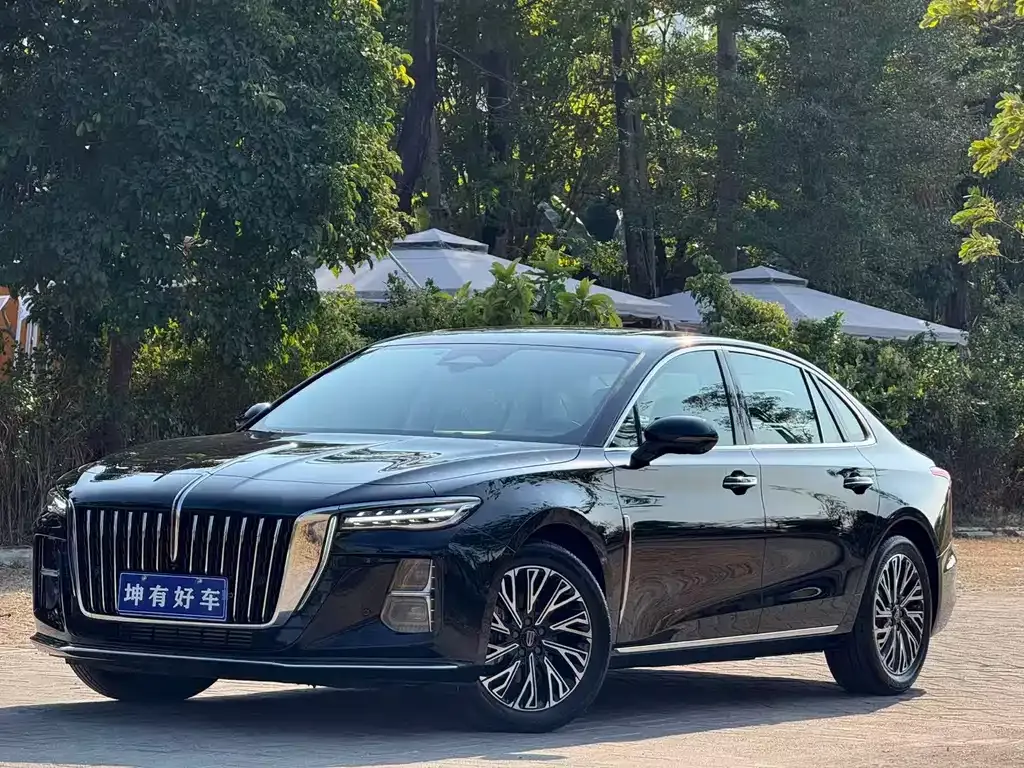 Hongqi H5 2024 из CN, фото 1