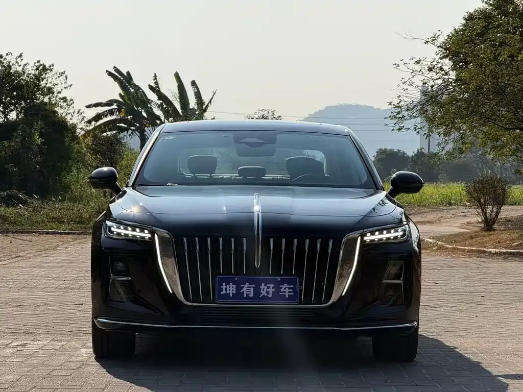 Hongqi H5 2024 из CN, фото 2