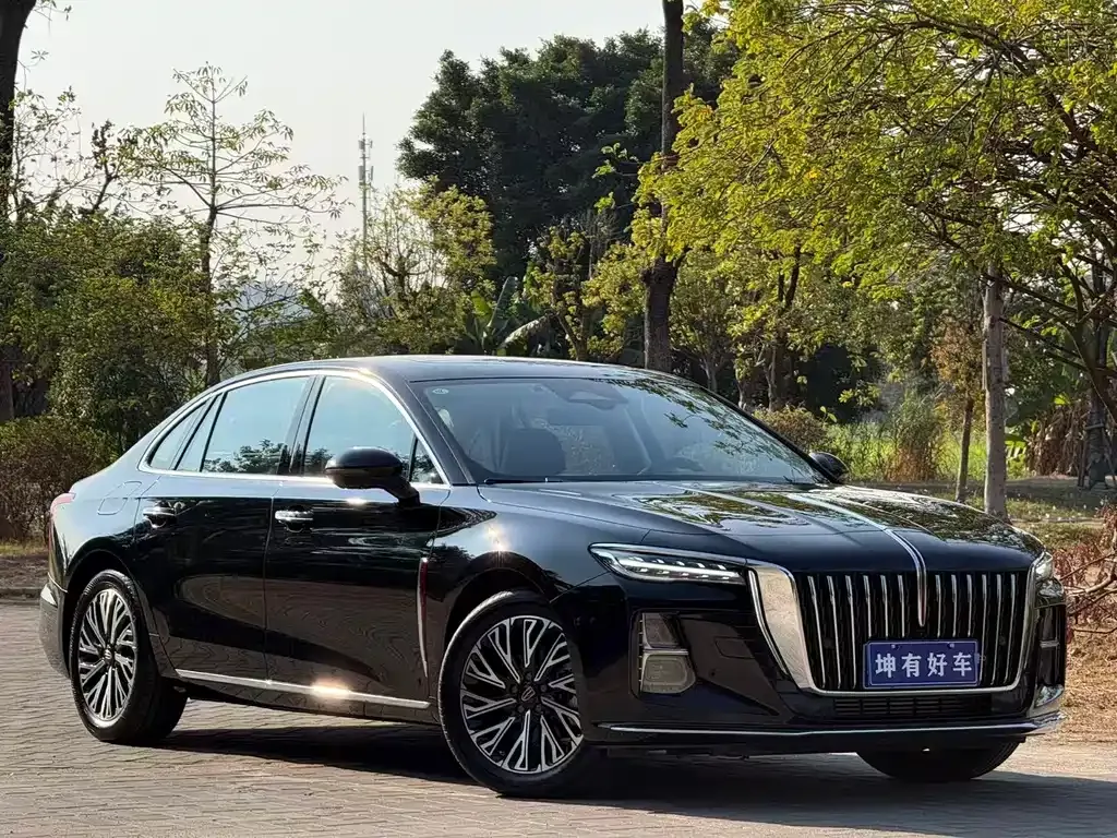 Hongqi H5 2024 из CN, фото 5