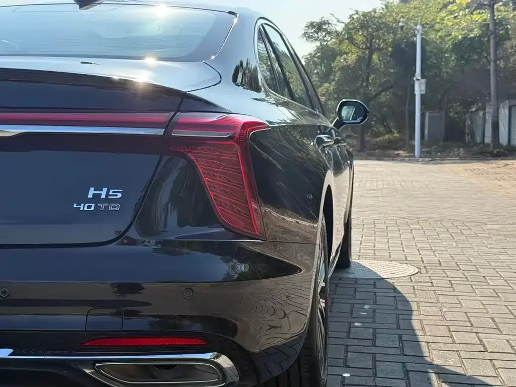 Hongqi H5 2024 из CN, фото 3