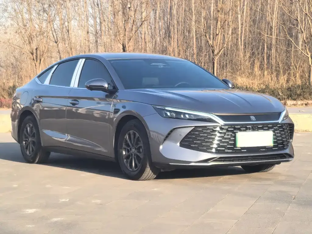 BYD Qin L — фото 4