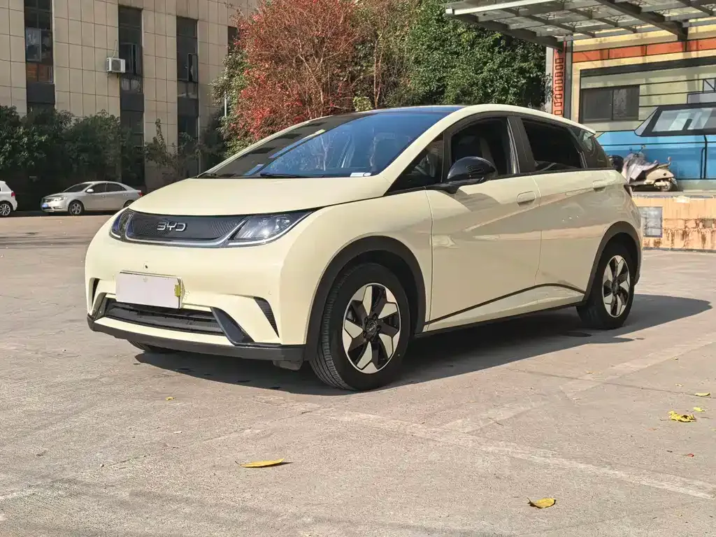 BYD Dolphin 2024 из CN, фото 1
