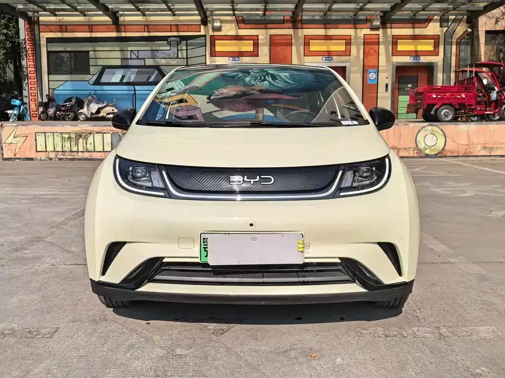 BYD Dolphin 2024 из CN, фото 2