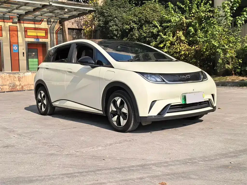 BYD Dolphin 2024 из CN, фото 3