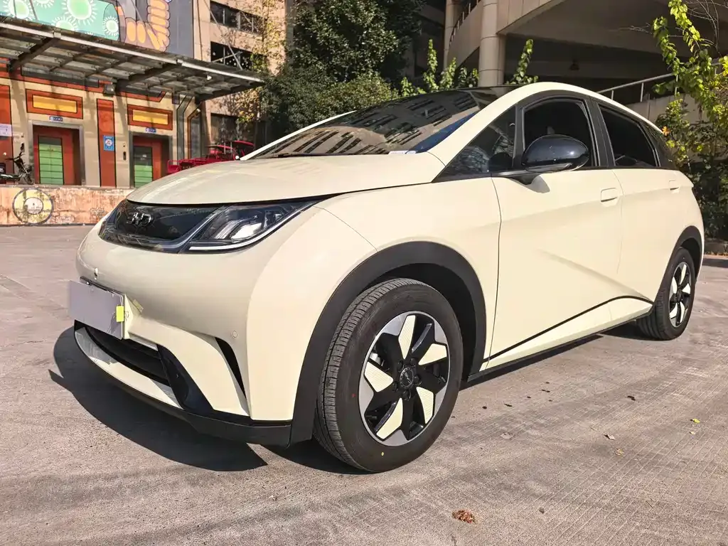 BYD Dolphin 2024 из CN, фото 4