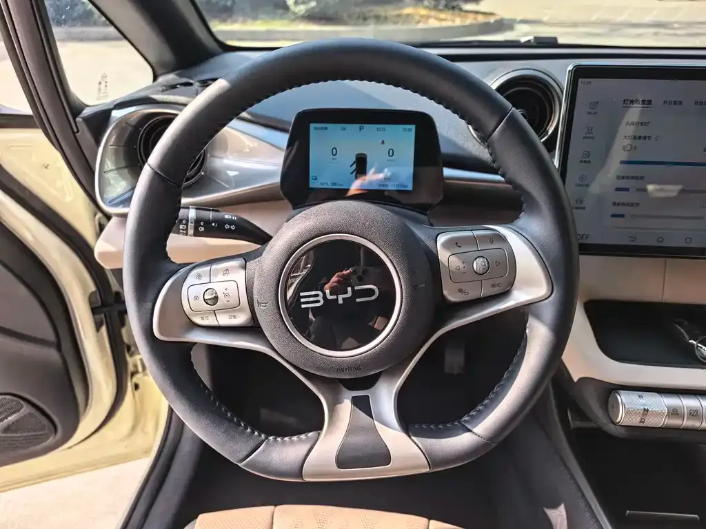 BYD Dolphin 2024 из CN, фото 8