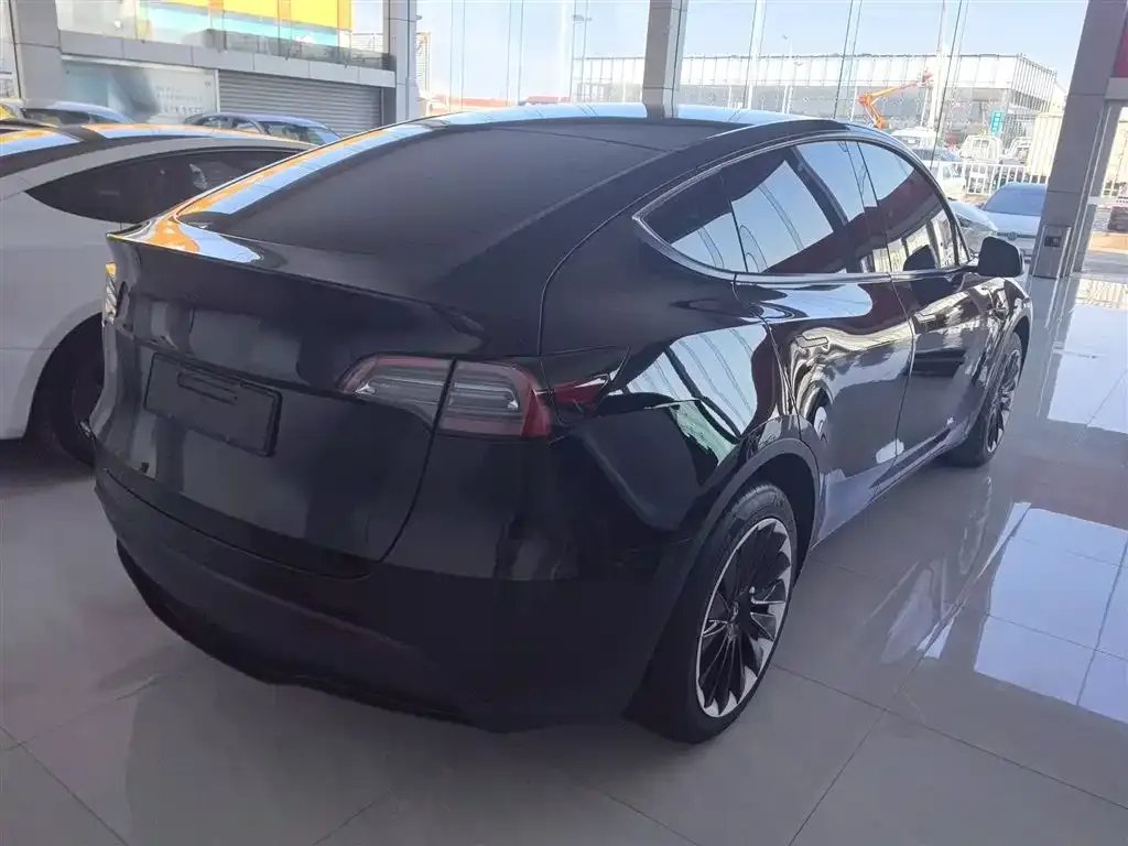 Tesla Model Y 2024 из CN, фото 6