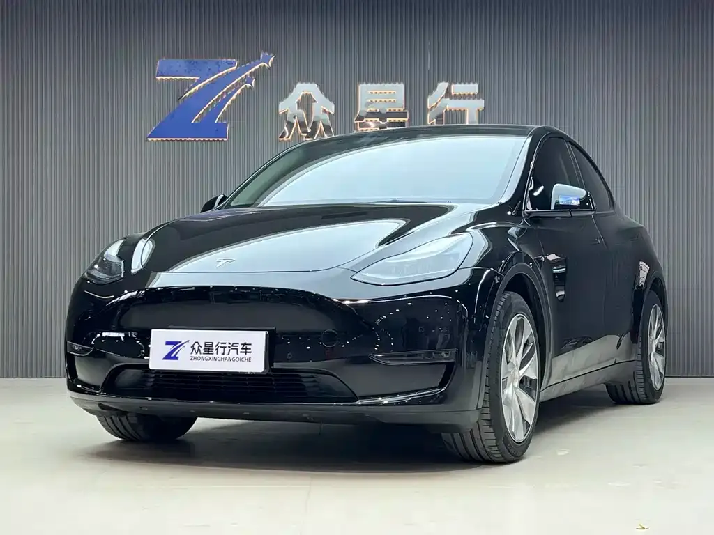 Tesla Model Y 2021 из CN, фото 1