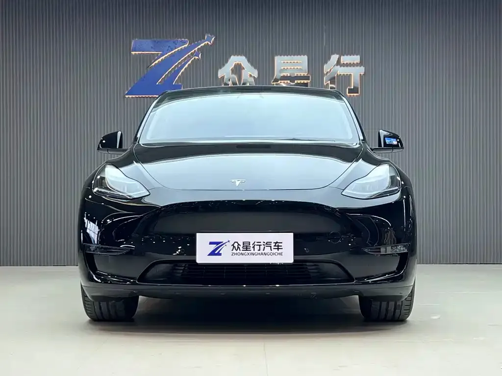 Tesla Model Y 2021 из CN, фото 8