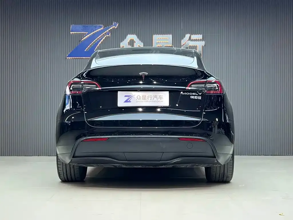 Tesla Model Y 2021 из CN, фото 4