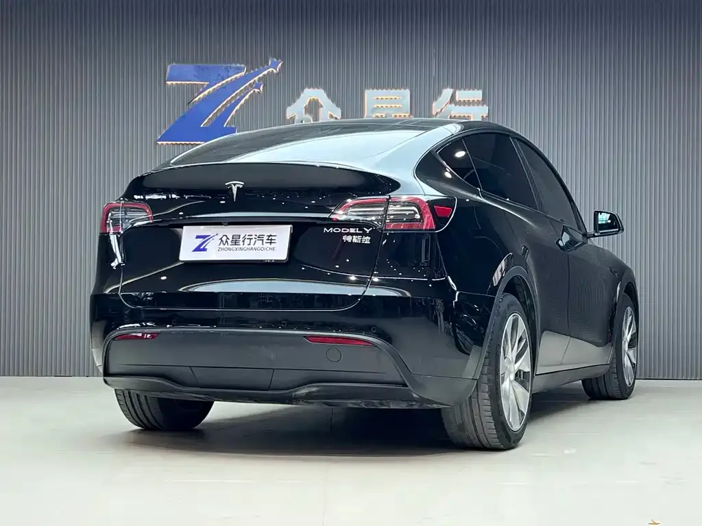 Tesla Model Y 2021 из CN, фото 3