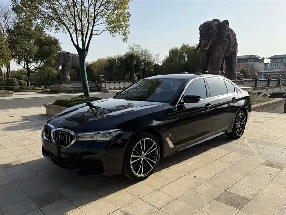 BMW 5 Series 2023 из CN, фото 1