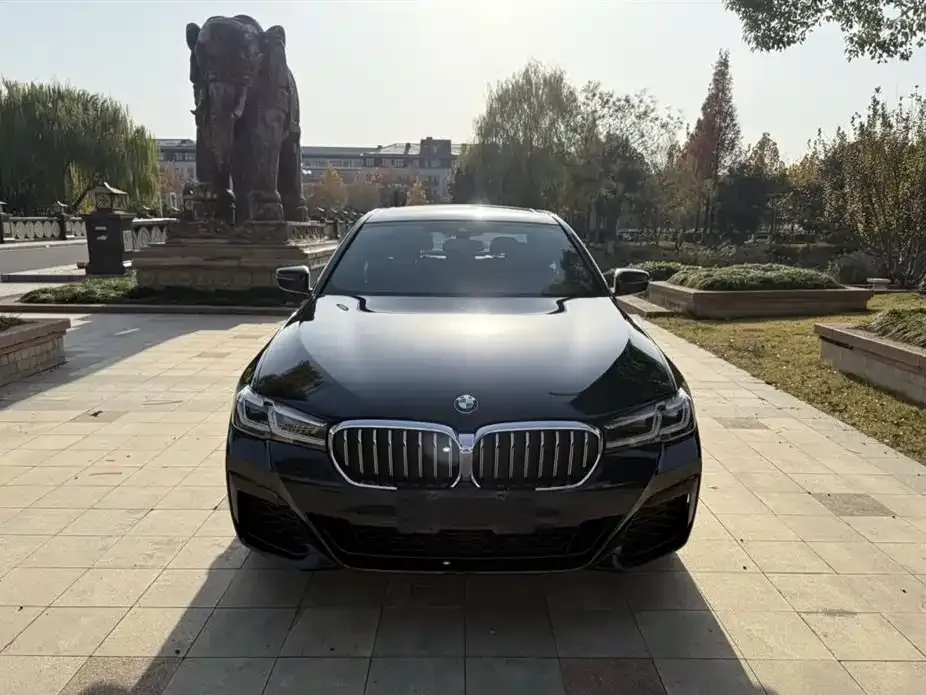 BMW 5 Series 2023 из CN, фото 7