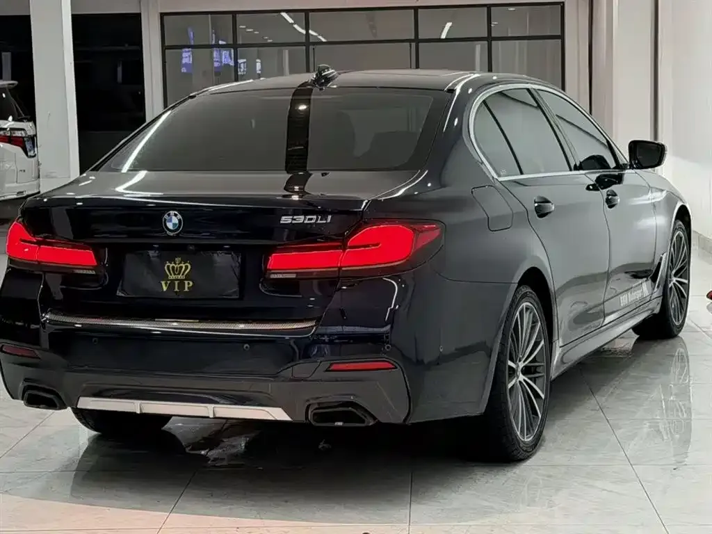 BMW 5 Series 2023 из CN, фото 2