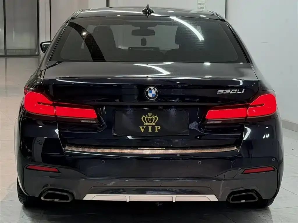 BMW 5 Series 2023 из CN, фото 3