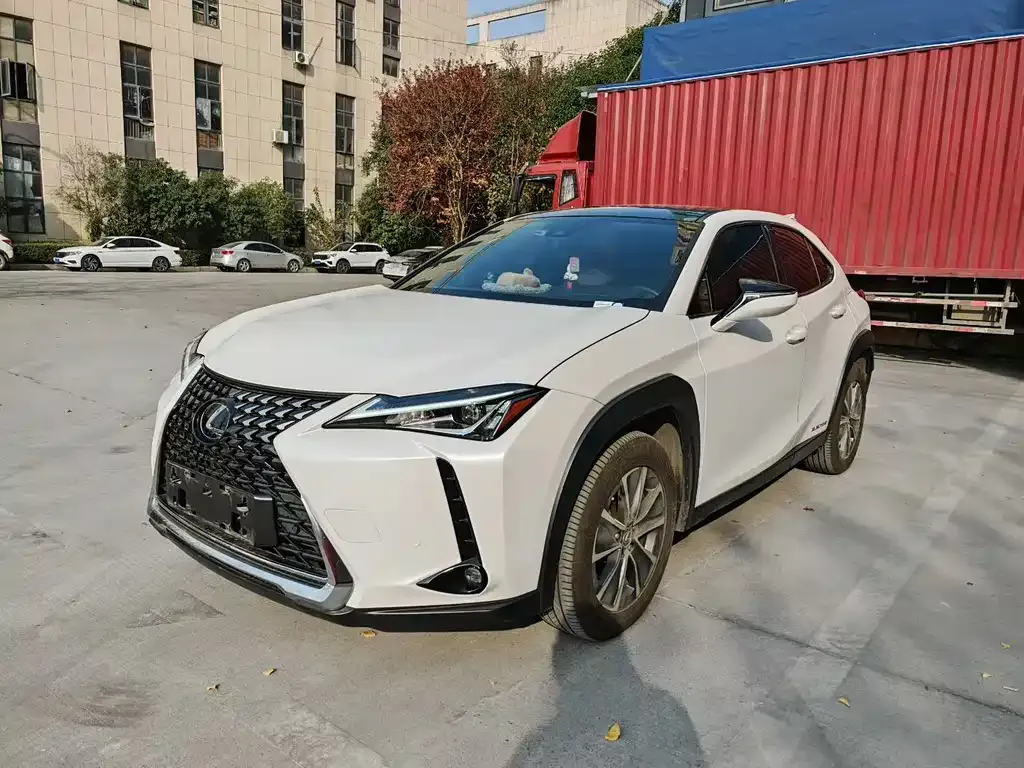 Lexus UX New Energy 2021 из CN, фото 1