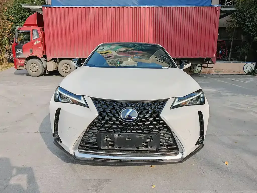 Lexus UX New Energy 2021 из CN, фото 2