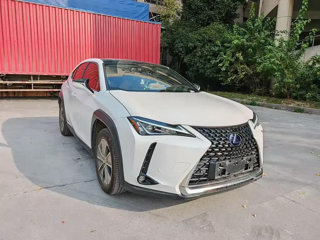 Lexus UX New Energy 2021 из CN, фото 3
