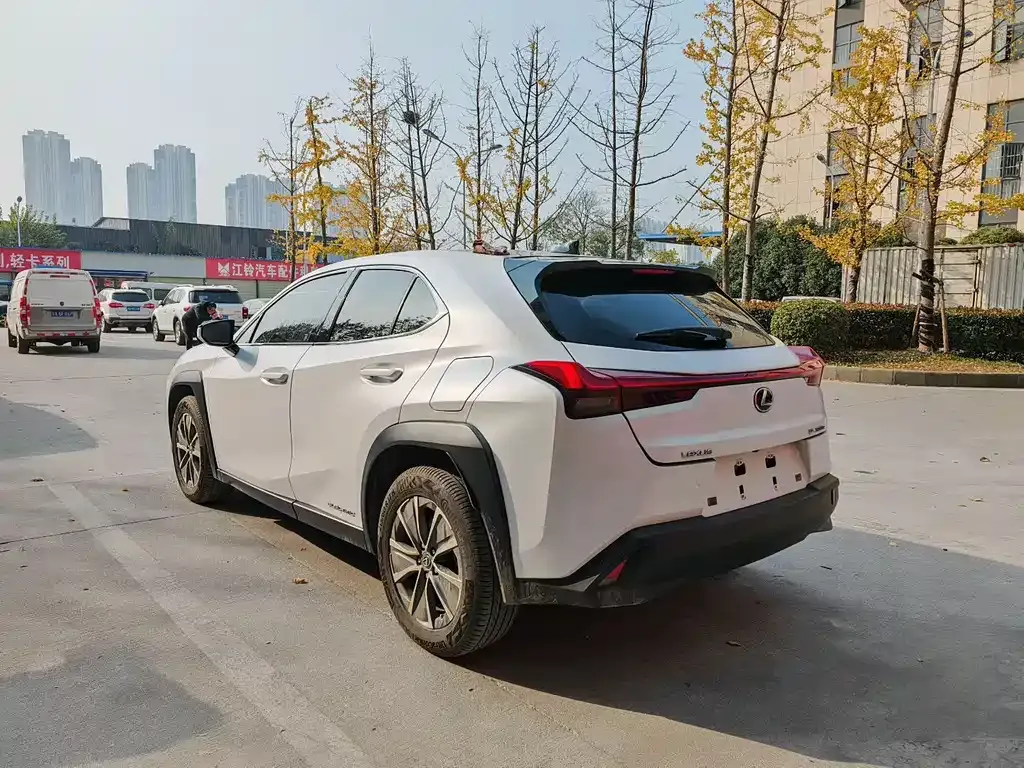 Lexus UX New Energy 2021 из CN, фото 4