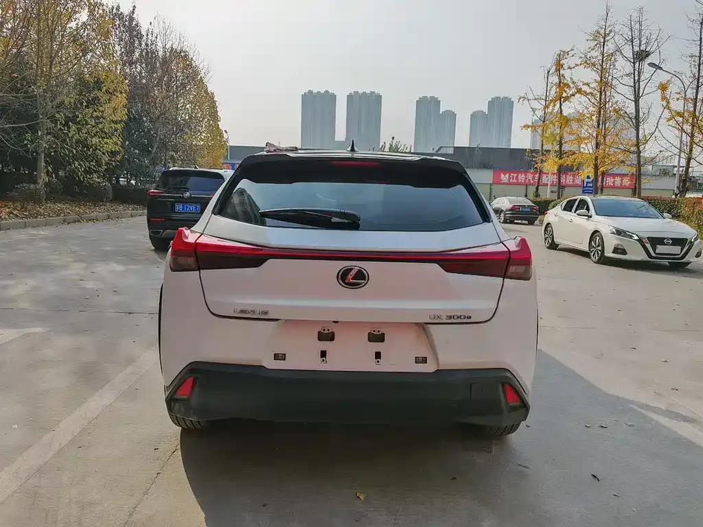 Lexus UX New Energy 2021 из CN, фото 5
