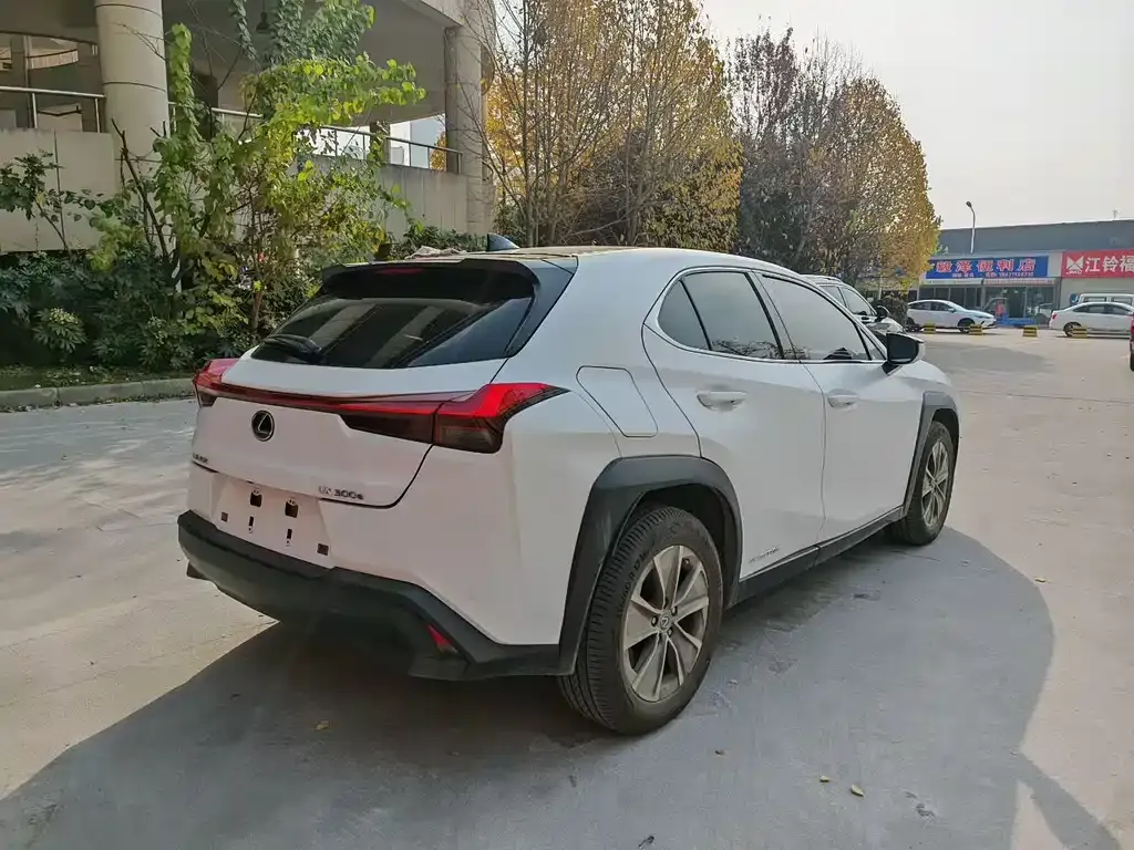 Lexus UX New Energy 2021 из CN, фото 6