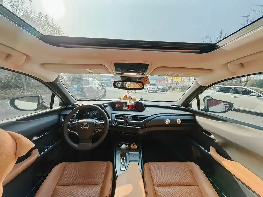 Lexus UX New Energy 2021 из CN, фото 7
