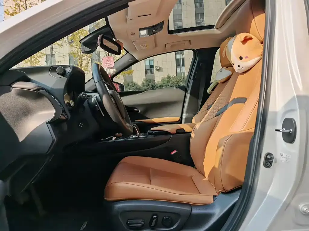 Lexus UX New Energy 2021 из CN, фото 8