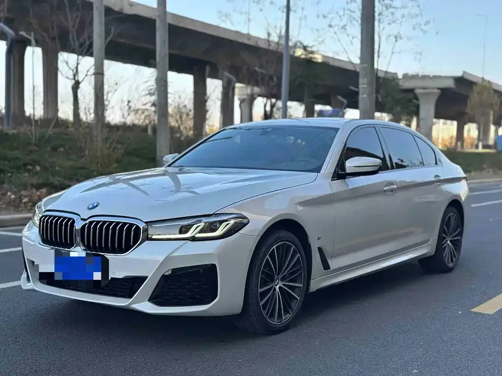 BMW 5 Series 2023 из CN, фото 6