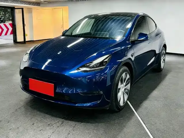 Tesla Model Y 2021 из CN, фото 1