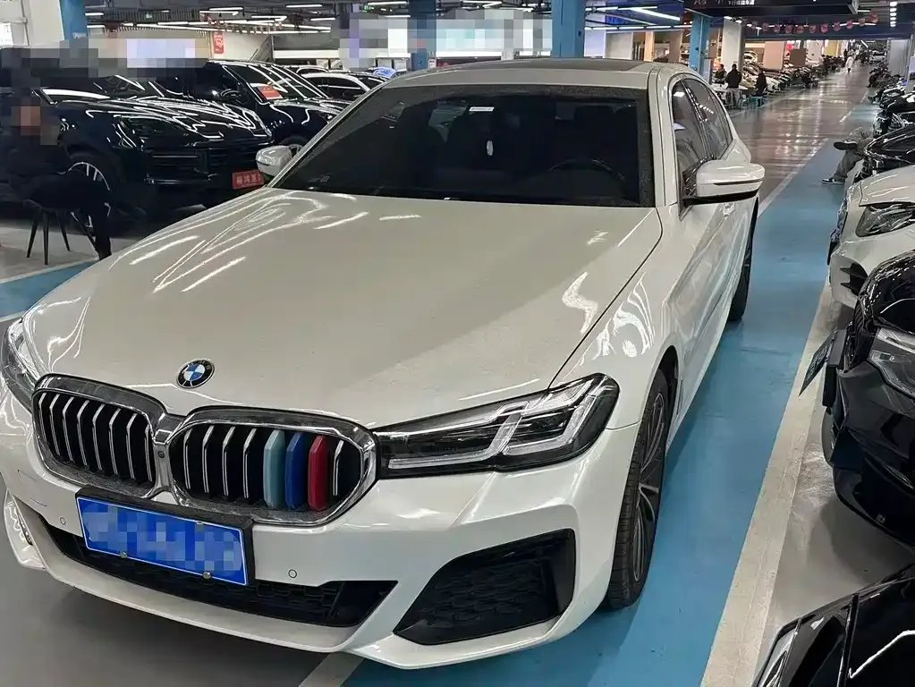 BMW 5 Series 2021 из CN, фото 1