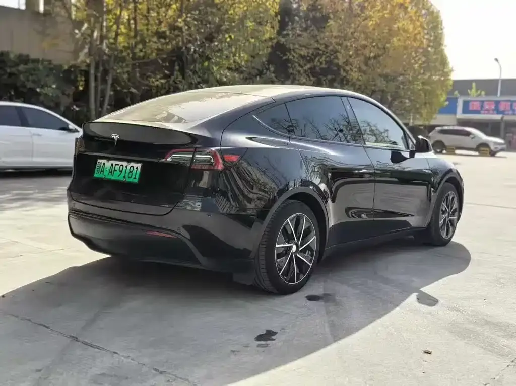 Tesla Model Y 2023 из CN, фото 7