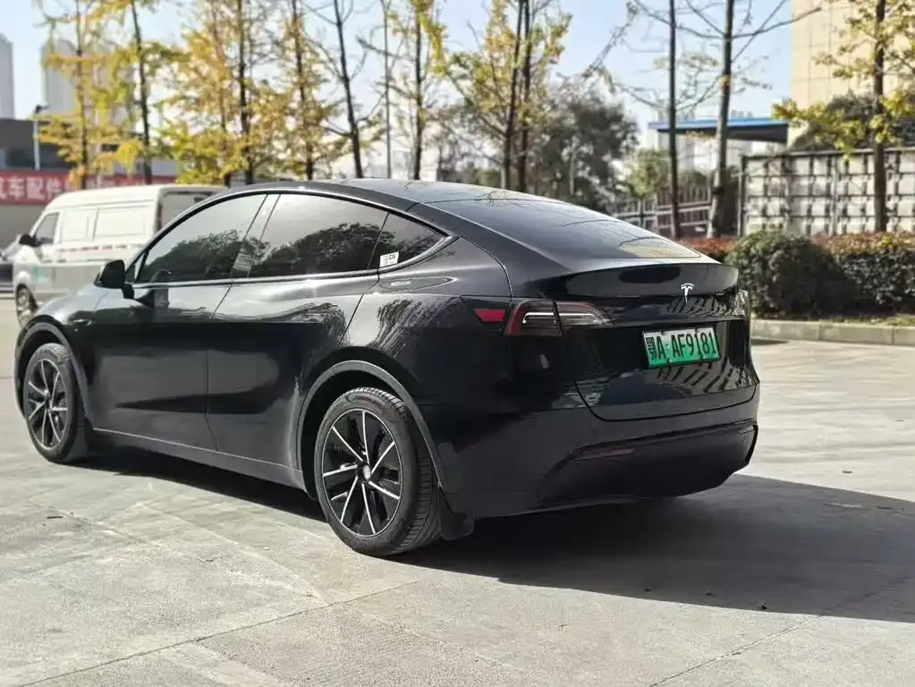 Tesla Model Y 2023 из CN, фото 8
