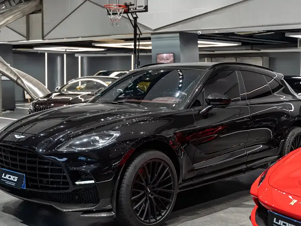 Aston Martin DBX 2021 из CN, фото 1