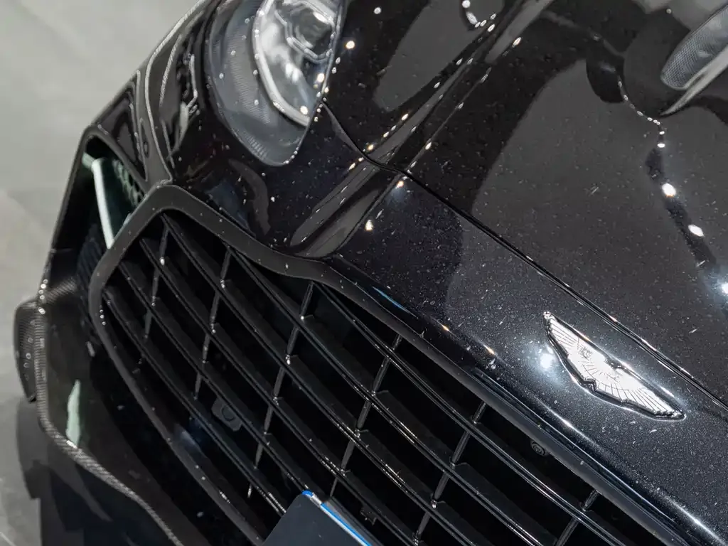 Aston Martin DBX 2021 из CN, фото 7