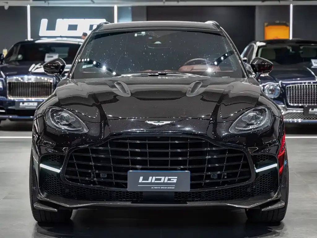 Aston Martin DBX 2021 из CN, фото 10