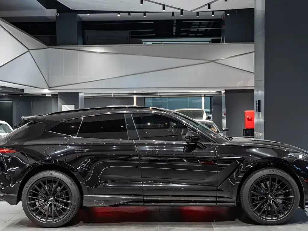 Aston Martin DBX 2021 из CN, фото 3
