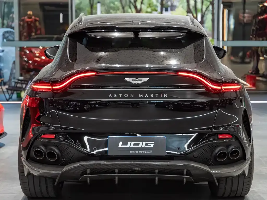 Aston Martin DBX 2021 из CN, фото 2