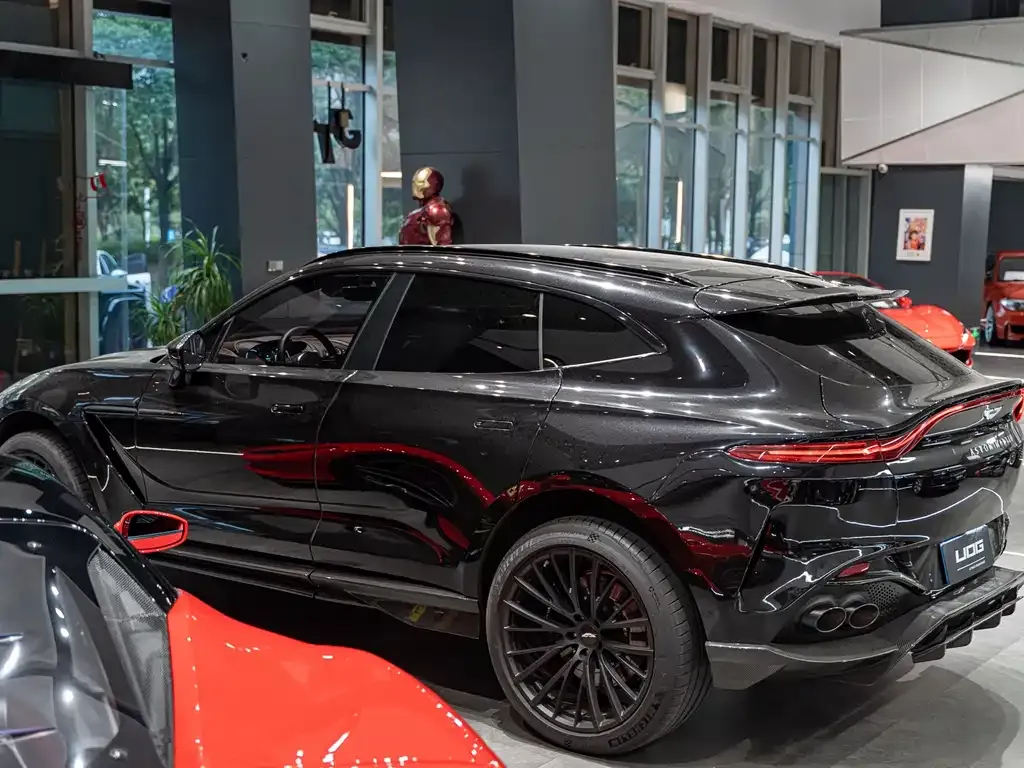 Aston Martin DBX 2021 из CN, фото 8