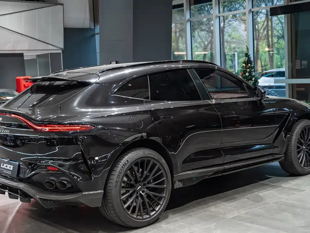 Aston Martin DBX 2021 из CN, фото 9