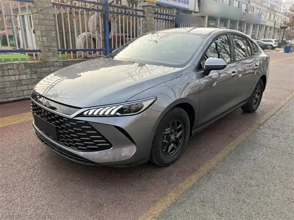 BYD Qin PLUS 2025 из CN, фото 1