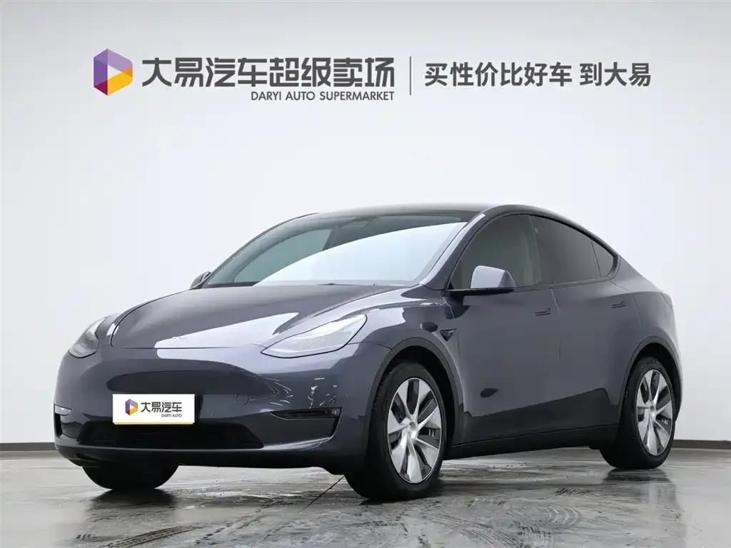 Tesla Model Y 2021 из CN, фото 1