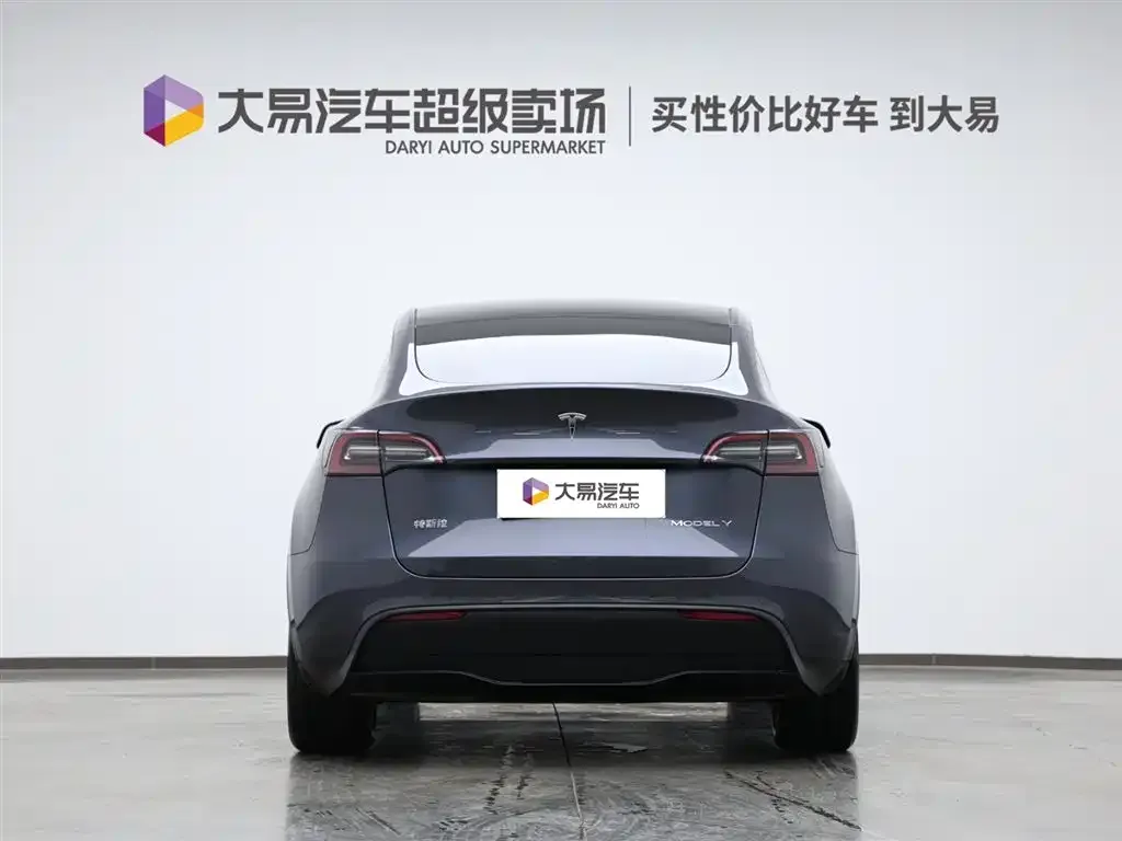 Tesla Model Y 2021 из CN, фото 4