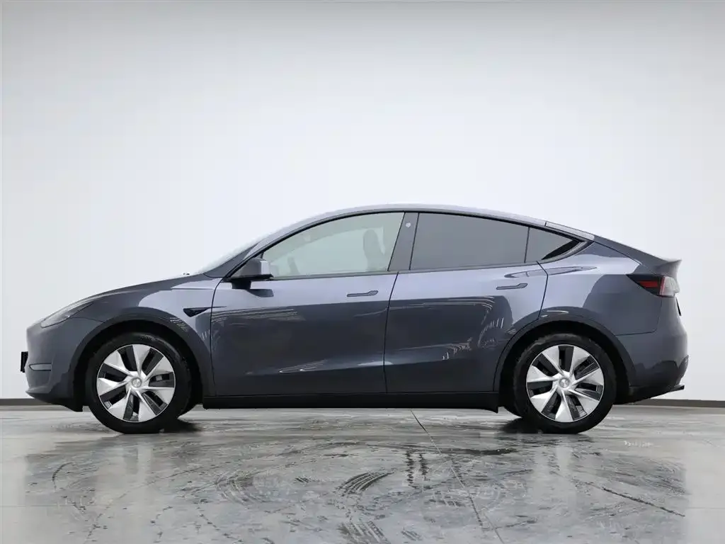Tesla Model Y 2021 из CN, фото 5