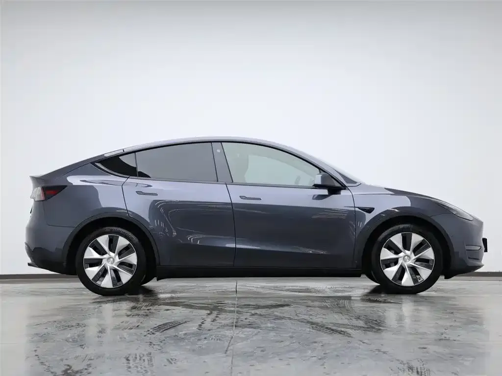 Tesla Model Y 2021 из CN, фото 6