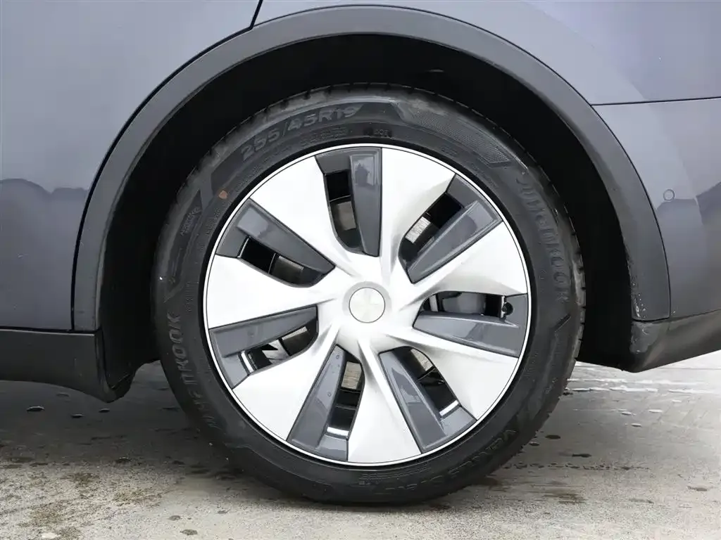 Tesla Model Y 2021 из CN, фото 9