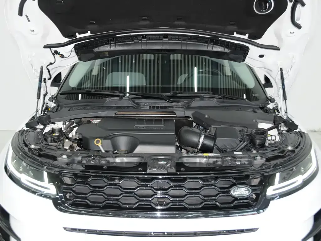 Land Rover Evoque 2021 из CN, фото 10